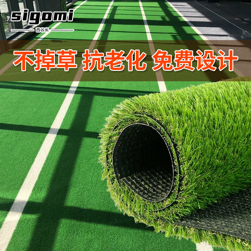 Fitness Room Lawn Sledge Custom Black Private Education Ground Material Emulation Carpet Indoor Training Green White Turf