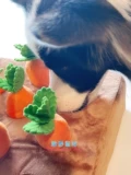 Игрушка, напольный коврик, плюшевая морковная кукла, домашний питомец, кошки и собаки, избавление от скуки
