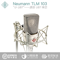 NEUMANN TLM103 capacitive microphone professional recording K song live microphone anchor singing equipment