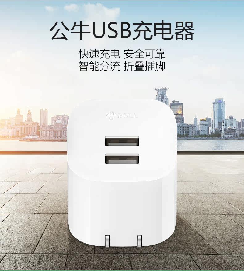 chargeur BULL - Ref 1291192 Image 8