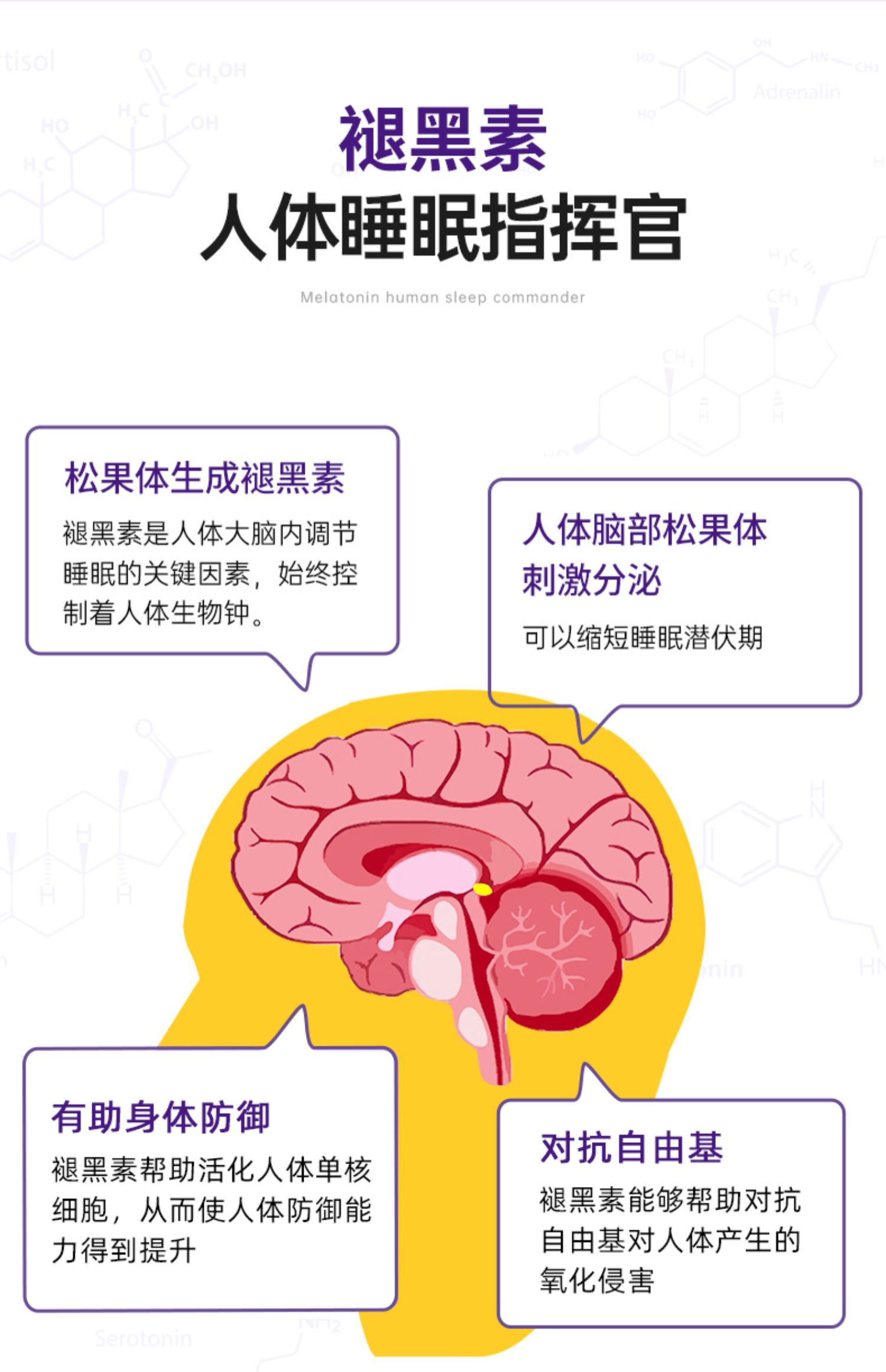 美国sleepwell褪黑色素软糖