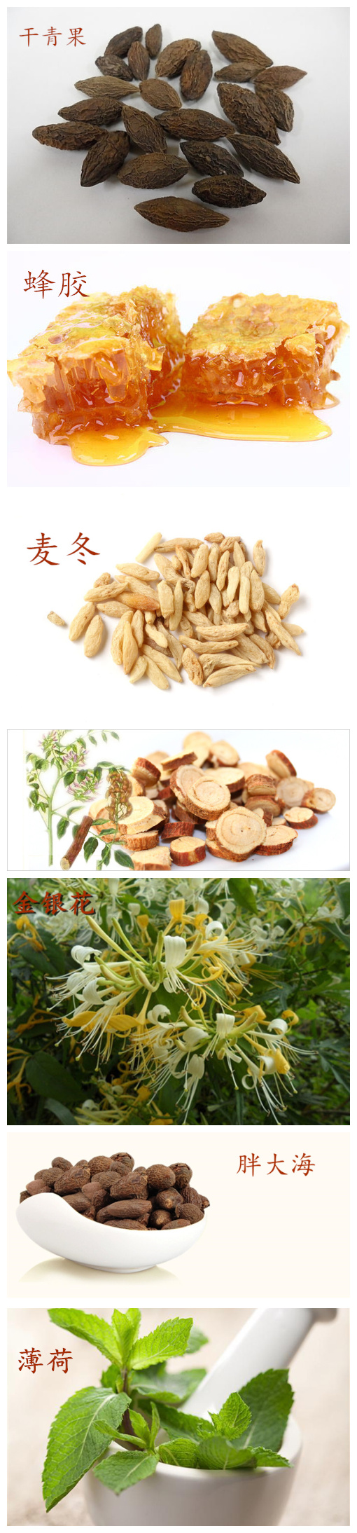 Kim ngân hoa, Oropharynge, Ning, uống, lửa, mũi, tạo bọt, kháng khuẩn, miệng, lưỡi, bong bóng dài, phun xịt - Phụ kiện chăm sóc mắt dung dịch vệ sinh túi sách