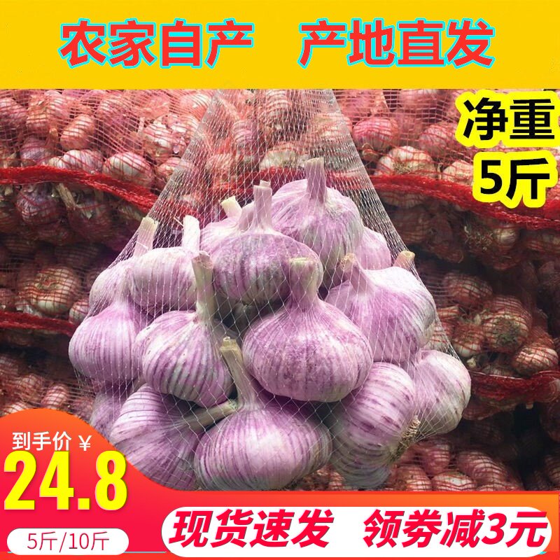 Variety garlic special dried garlic ginger 10kg household purple garlic preferred single garlic kitchen