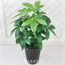 Simulation plant potted office inside fake tree simulation tree plastic flower emulation haircut tree ground fake cherry fruit tree