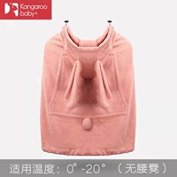 Осень и зимние персиковые розовые кролики