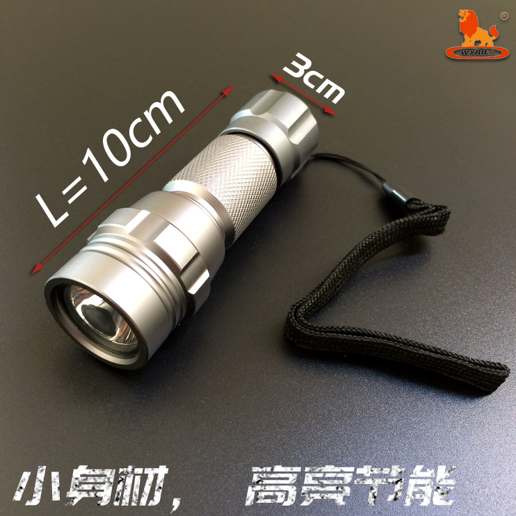 Power Lion brand aluminum alloy LED flashlight riding outdoor small flashlight 5 Number of batteries W0664 