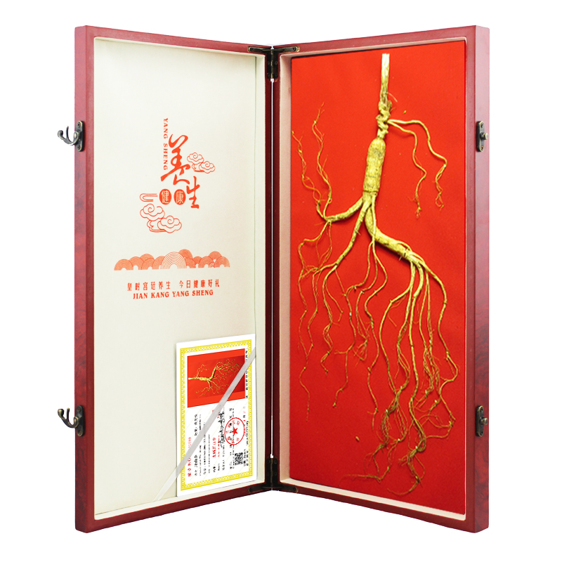 Zhongji Zhenbao ginseng gift box wild mountain ginseng first class Yellow Certificate Special Elderly Ginseng Forest Down Mountain Ginseng Changbai Mountain Boiling Soup Nourishment