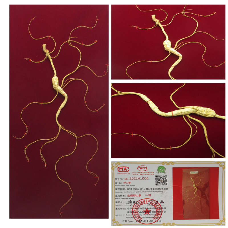 Zhongji Treasure State Inspection First Class Wild Mountain Ginseng Changbai Mountain Original Ecological Natural WildMountain Ginseng Tohoku Special Courtesy Box