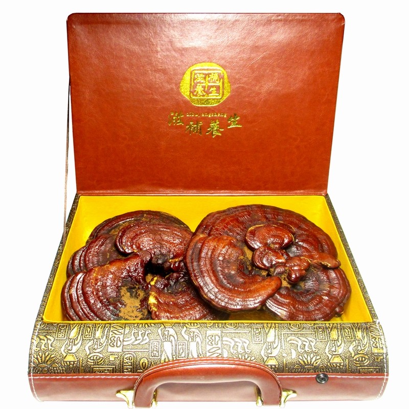 Zhongji Treasure Changbai Mountain Red Ganoderma Lucidum Danzhi 450g large Ganoderma lucidum big Purple gift box Whole tonic wine