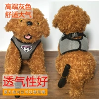 Тедди Барри может быть доступен веревку с трубкой собаки Breathabilebal Bess Best Dog Traction Trow