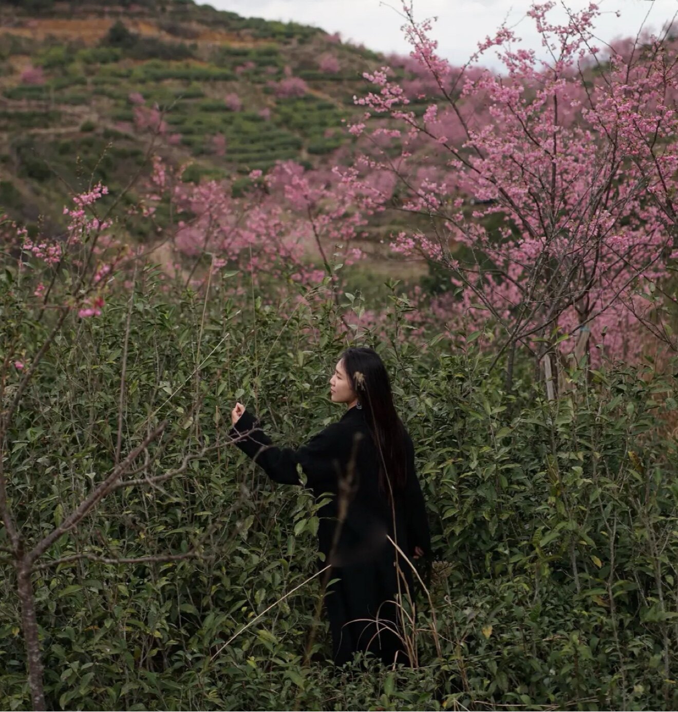 蒂达维 高端女装