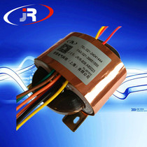 Professional custom R10 transformer 220V 380V change 6V9V12V15V18V24V36V