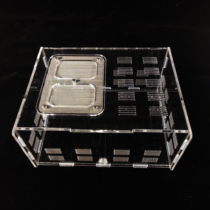 Acrylic ant activity area Insect feeding box Reptile song insect box