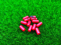 The nest of the ants is a little more than a test tube.