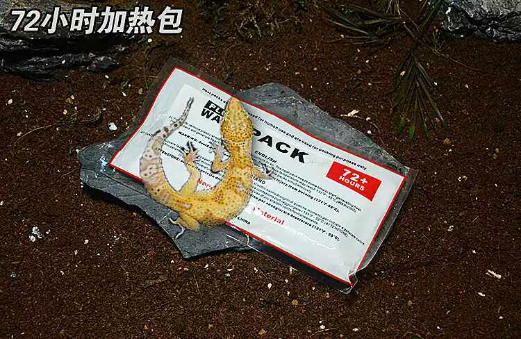 Ant Love Reptiles Heating Packs Living Shipping Private Bottom Warm Areas Must Be Filmed
