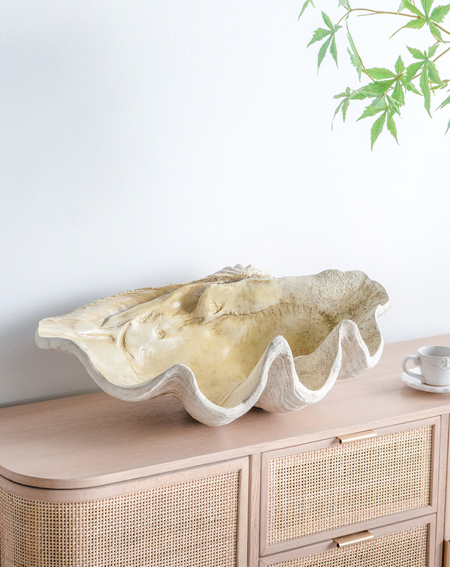 Ab House Exports Large Ocean Shell and Coral Artificial Decorations to the United States for Table, Entryway, Storage, and Living Room Use Ab House Exports Large Ocean Shell and Coral Artificial Decorations to the United States for Table, Entryway, Storage, and Living Room Use