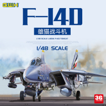3G model Great Wall assembled aircraft L4834 1 48 F-14D Tomcat carrier-based fighter