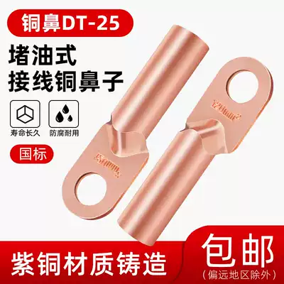 National standard DT-25 square copper nose wire nose terminal Fanke copper wire ear plugging oil copper joint A grade