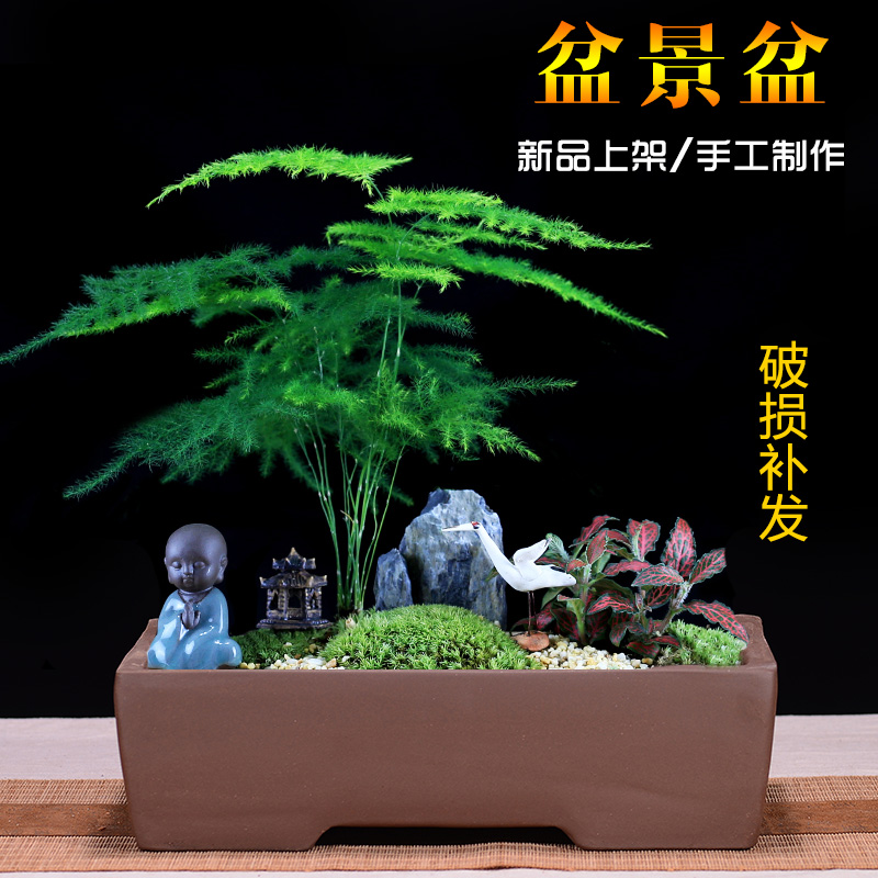 Purple sand flower pot promotion straight mouth bonsai pot green plant stump combination living room landscape potted balcony ceramics