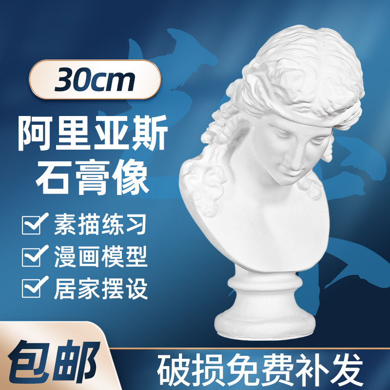 Arias Sketch Plaster Plaster Plaster Head Plaster Large Plaster Model Plaster Head Model