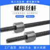 T-type screw Tr12 16 20 24 25 28 30 32 36 Trapezoidal screw nut Screw 45 Steel