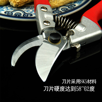 Chinese herbal medicine scissors ginseng American ginseng Ganoderma lucidum medicinal material trimming scissors luxurious thickening and durable replacement for manual guillotine