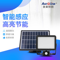 Ole solar sensor light solar garden light new rural high power outdoor light waterproof lighting street light