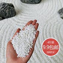 Small white gravel paving landscaping white stone rice rain flower stone fish tank gardening decoration succulent paving stone dry landscape stone