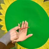 Улыбка лица подсолнечника симуляция цветочных танцев в детском саду