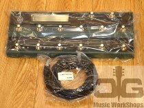 Successful instrument Spot Kemper Profiling Amplifier REMOTE