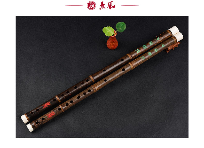 Kho báu, sáo Zizhu, phần đặc biệt, sáo Zizhu, biểu diễn chuyên nghiệp, d-giai điệu, nhạc cụ gió quốc gia, sáo, sáo dan ti ba