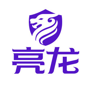 亮龙旗舰店
