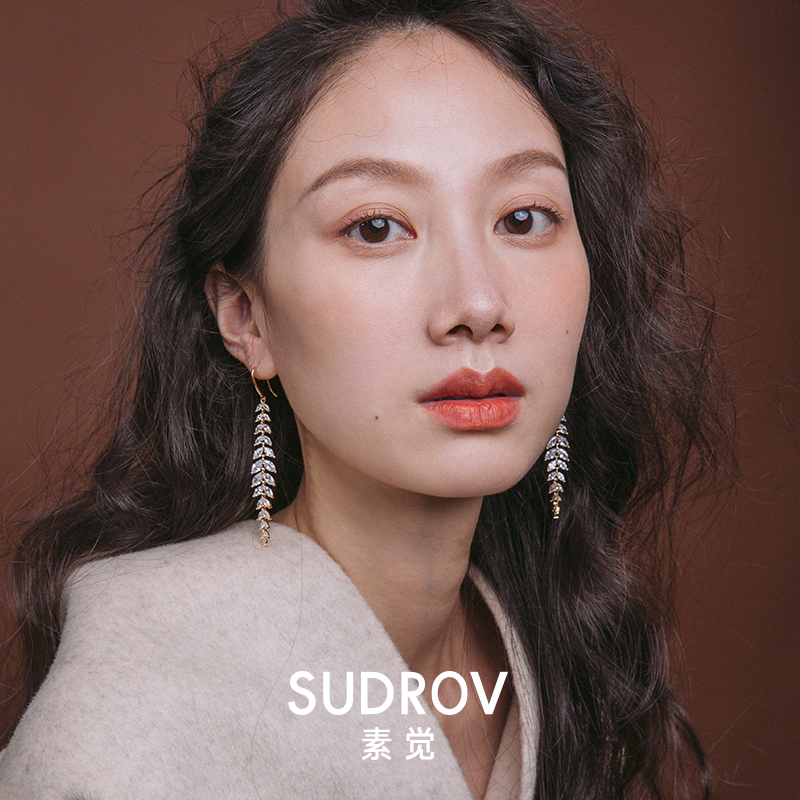 In 2023, the new long - style pure silver earrings tide of the thin ear cranks exaggerated high - sentiment ear decoration