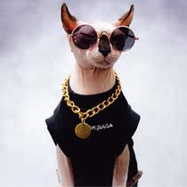Hairy cat special shake-to-tone dark black cat photo Divine Instrumental Gold Chain Glasses Ear Accessories Necklace 100 hitch Cat Accessories