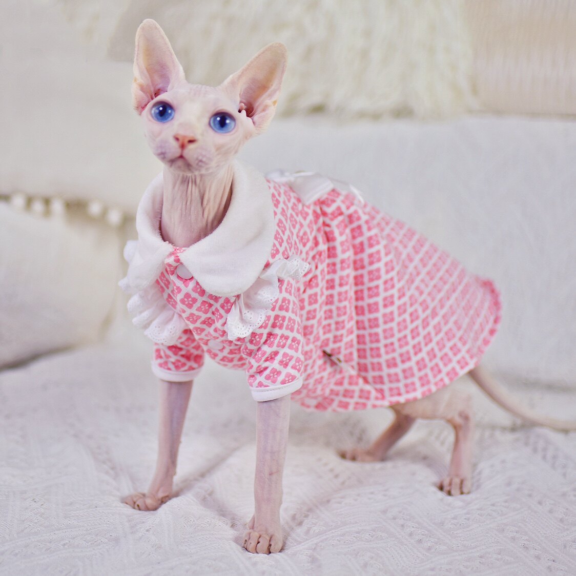 Baby skin-friendly cotton Princess lace dress cute warm splinter sphenx hairless cat clothes German