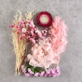 Сухие цветы вечные цветы полны звездных цветов хризантемы, а не забытые гордцы, эмбаргали Chrysanthemums Diy Декоративный материал