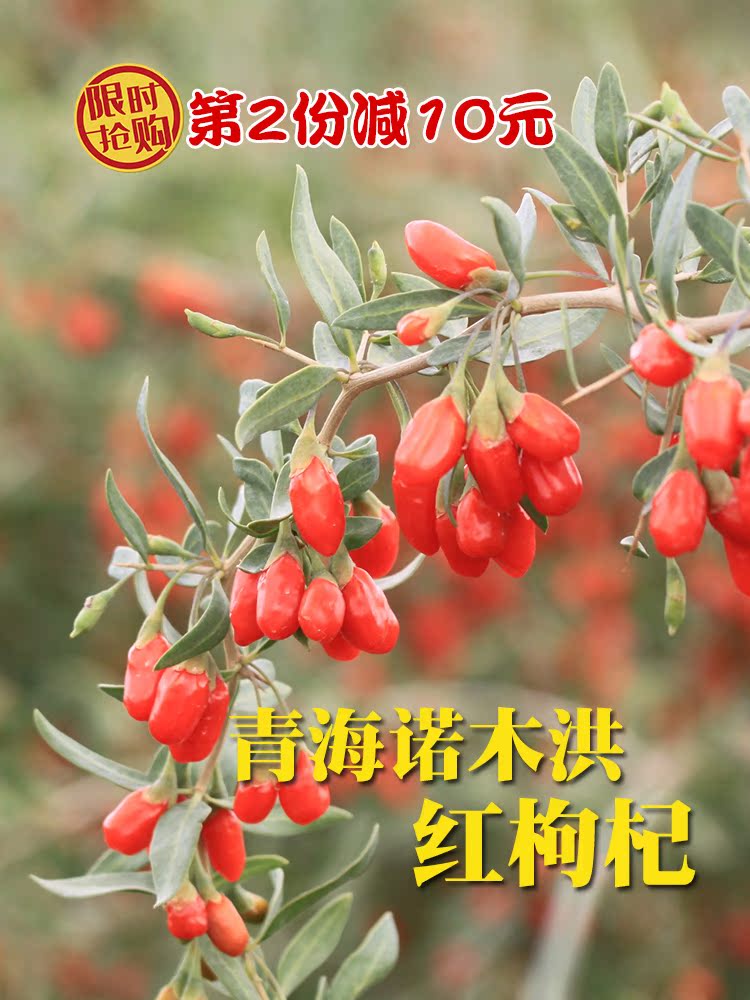 Qinghai Nomu Hong super big red wolfberry Wang Gongguo Chaidamu PK Middle Ningxia wolfberry tea sweet male kidney