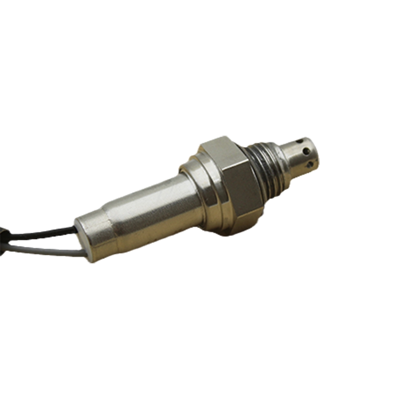 Motorcycle EFI oxygen sensor country 4 125 straddle bike Feite system 2-wire sensor