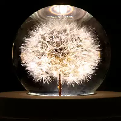 Dandelion crystal ball immortal flower music box with luminous music box rotation to send wife and girlfriend Tanabata gift