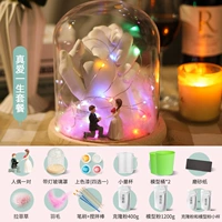 [Быстрая доставка] True Love Life-Color Lamp Low Set еда