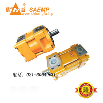 NB5-G80F NB5-G100F NB5-G125F NBZ5 Shanghai Aviation Development High Pressure Internal Gear Pump