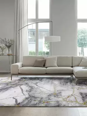 Turkey imported marbled modern living room household carpet Light luxury bedroom bed blanket Simple black and white blanket