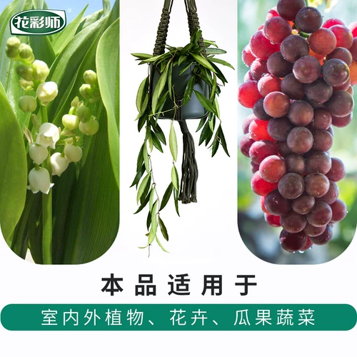 Празднование цветов Hongyue Dilute Speed ​​Speed ​​-эффективная линия растительного питания цветочные продукты цветочные удобрения 480 мл