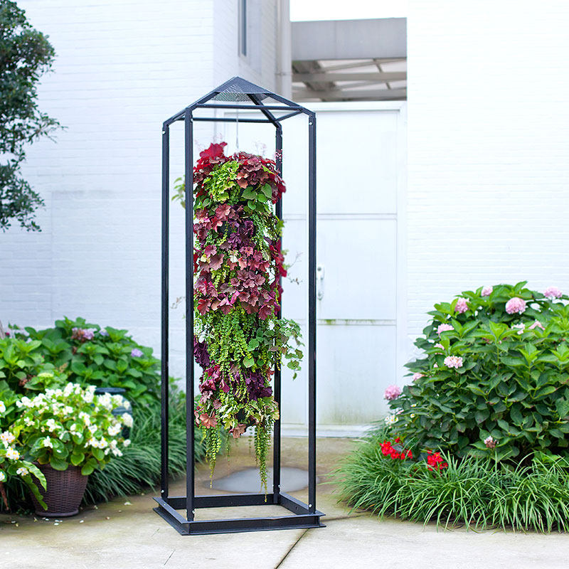 (Hong Yue) Ito three-dimensional flower hanging flower hanging love plant with decorative multi-spec courtyard ideas