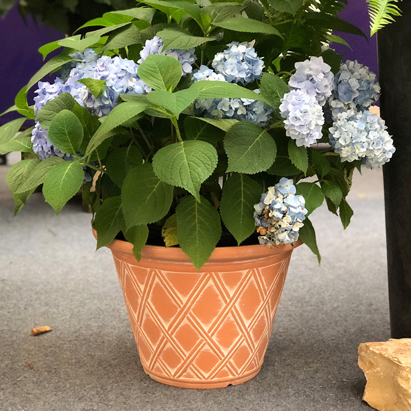 Hongyue Huajin flower pot Plastic planting pot 12 16 inch Lants flower pot Green plant flower planting pot