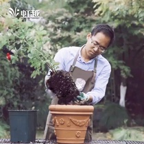 (Hongyue) rose clematis hydrangea pot set meal containing flower pot pruning shears flower stand fertilizer agent