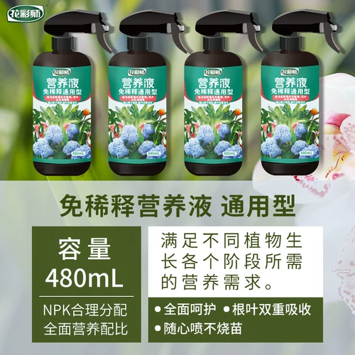 Празднование цветов Hongyue Dilute Speed ​​Speed ​​-эффективная линия растительного питания цветочные продукты цветочные удобрения 480 мл