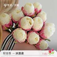 Натуральный шариковой мороженое 5 шаров (длина шарика 11/12)