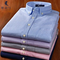 Bai Li chim mùa xuân và mùa thu cotton oxford quay nam áo sơ mi dài tay giản dị dày dày áo cotton đáy ấm áo sơ mi cổ trụ nam