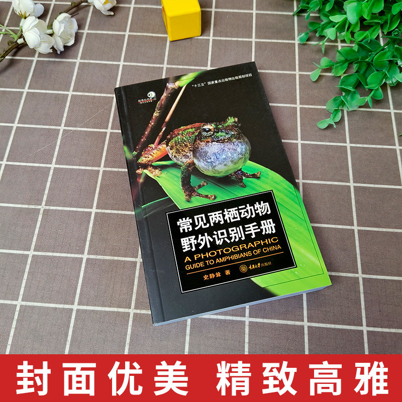 《常见两栖动物野外识别手册》如何帮助你快速掌握中国两栖动物的300种知识?-动物-淘宝百科网